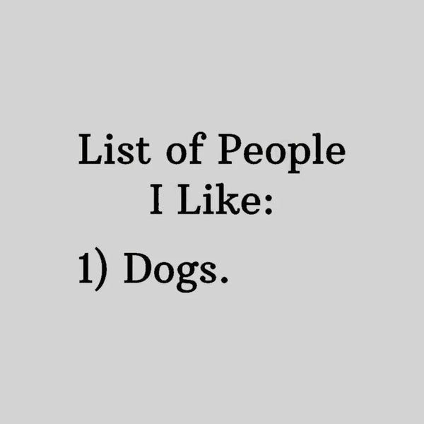 List Of People I Like: 1) Dogs. T-shirt