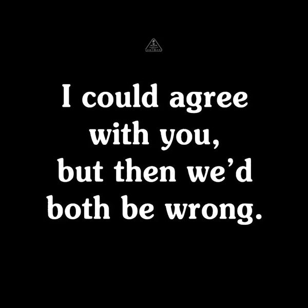 I Could Agree With You Funny Geek T-Shirt