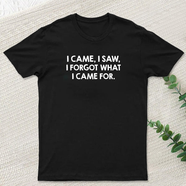I Came and Saw Nerd T-Shirt