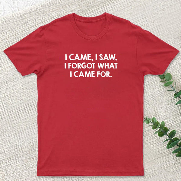 I Came and Saw Nerd T-Shirt
