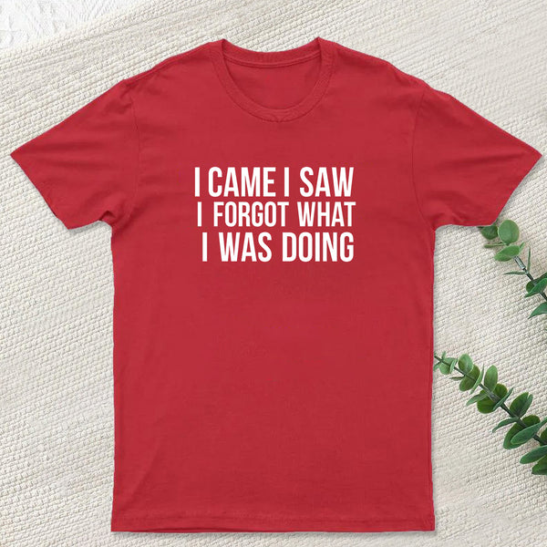I Came I Saw I Forgot What I Was Doing Humor Joke Quote T-Shirt