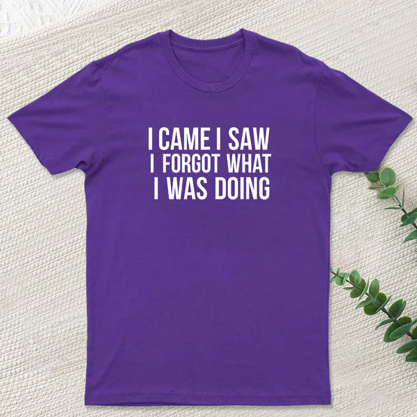 I Came I Saw I Forgot What I Was Doing Humor Joke Quote T-Shirt