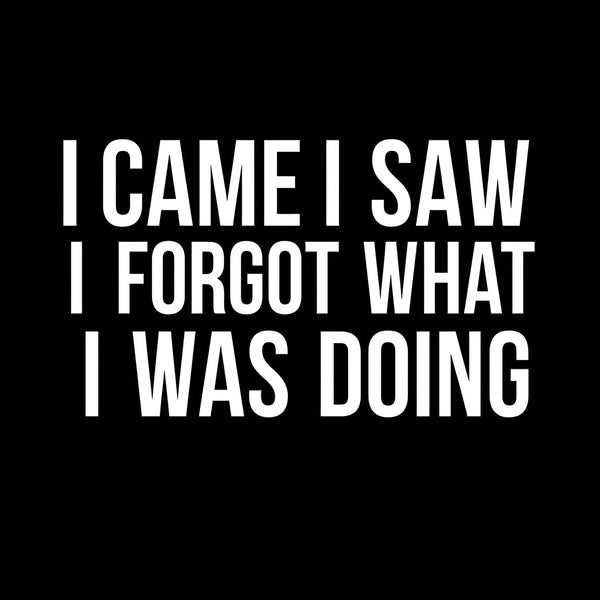 I Came I Saw I Forgot What I Was Doing Humor Joke Quote T-Shirt