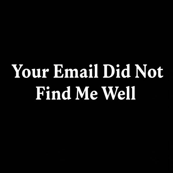 Your Email Didn't Find Me Well T-Shirt