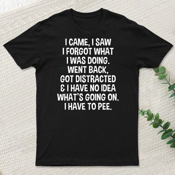 I Came I Saw I Forgot What I Was Doing T-Shirt