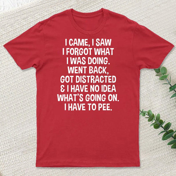 I Came I Saw I Forgot What I Was Doing T-Shirt