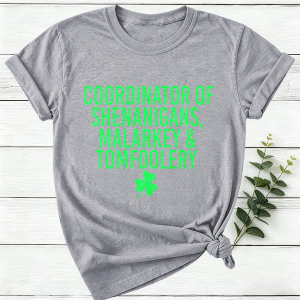 Coordinator Of Shenanigans Women T-Shirt