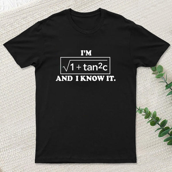Funny Secant Function Math Pun T-Shirt