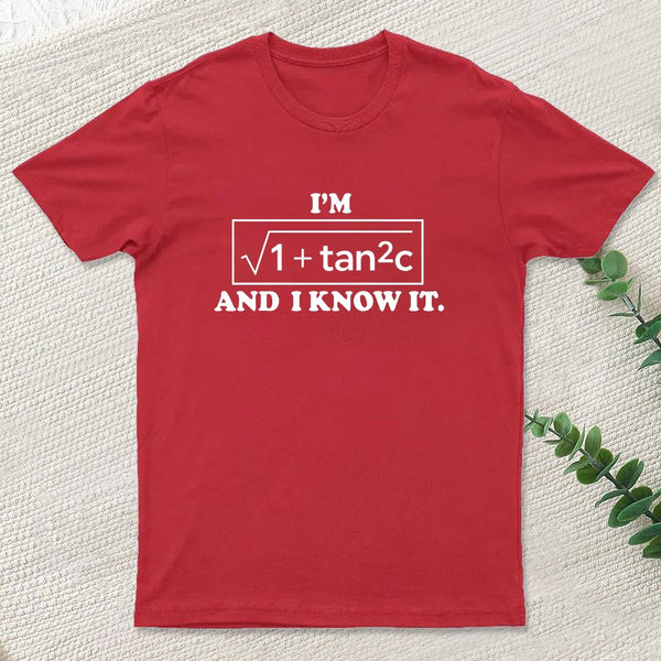 Funny Secant Function Math Pun T-Shirt