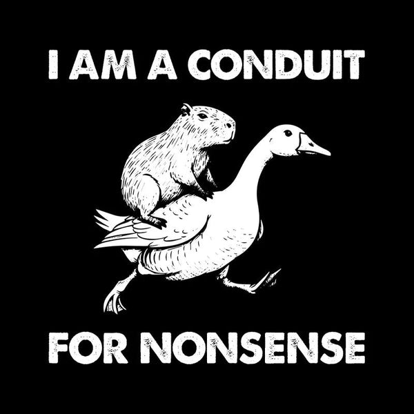 For Nonsense Geek Hoodie