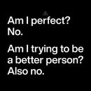 Am I Perfect No Geek Hoodie