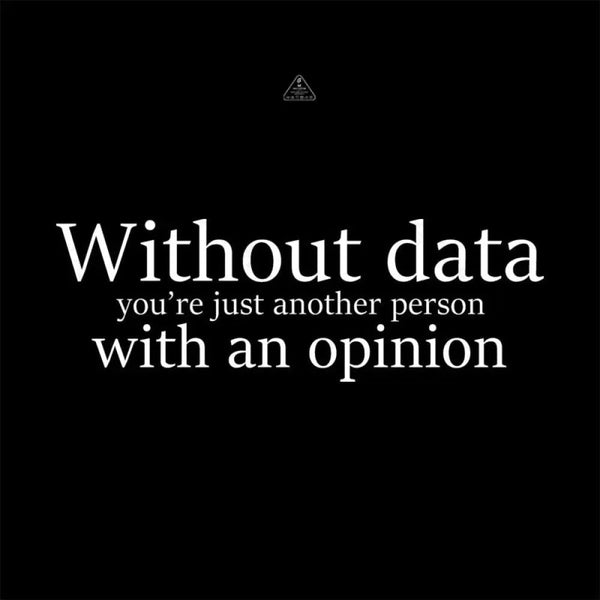 Without Data You're Just Another Person Geek Hoodie